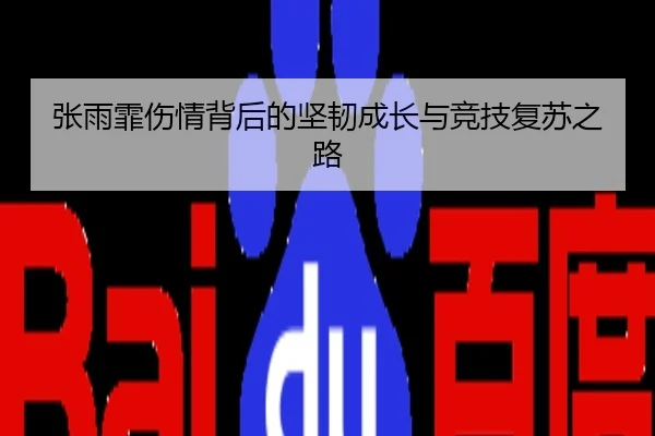 张雨霏伤情背后的坚韧成长与竞技复苏之路