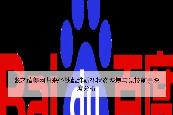 张之臻美网归来备战戴维斯杯状态恢复与竞技前景深度分析
